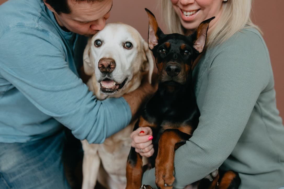 Building Petunia and supporting the pet care community together