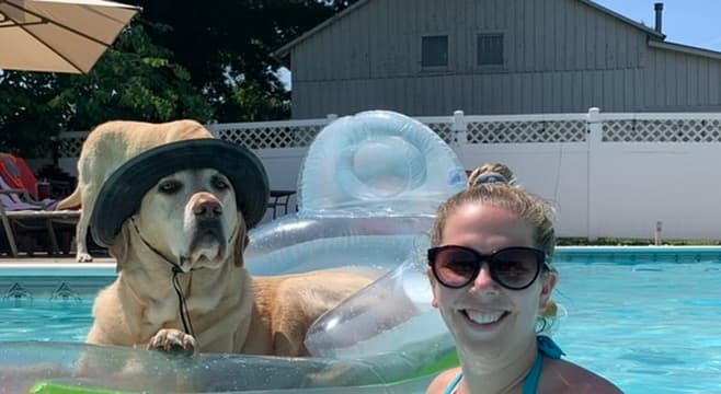 Building Petunia and supporting the pet care community together